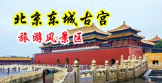 亚洲色图疯狂猛烈抽插中国北京-东城古宫旅游风景区
